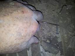 fkillineybeforeinternal 1080.jpg
